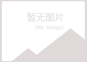 山东夏岚水泥有限公司